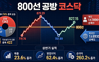 800선 공방 코스닥…이달 10개 중 7개 종목 상승