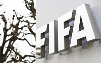 ‘FIFA 부패’ 10년 도피 아르헨티나 부자, 美 검찰과 기소유예 합의
