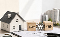 ‘셀러 파이낸싱’의 빛과 그늘