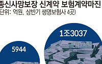 ‘사망’ 넘어 ‘건강’까지… 종신보험, 생보사 수익원으로 귀환