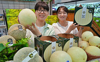 롯데마트, 대형마트 최초 무게만 3.2kg ‘허니듀 킹메론’ 한정 판매