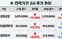 하루 만에 주가 엇갈린 K-전력기기 3인방…"트럼프發 훈풍은 현재진행형"