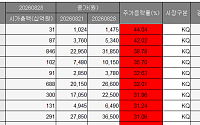[베스트&워스트] 코스닥 상승률 1위는 파루⋯상장 1주차 기도산업은 20%↓