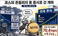 코스피 흔들리자 美 증시로 간 개미…두 달 새 10조원 순매수