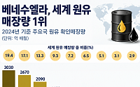 美와 ‘석유 빅딜’에 내부 반발 거세지자⋯베네수엘라 대통령 “자원 주권 유지”