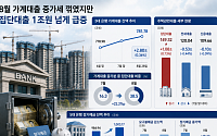 가계대출 증가세 둔화 속 집단대출은 ‘껑충’⋯ 8월 들어 1조원 넘게 늘어