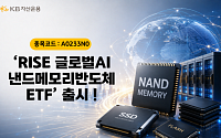 KB운용 'RISE 글로벌AI낸드메모리반도체 ETF' 출시…"국내 최초 낸드 밸류체인 ETF"