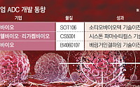 높기만 한 ADC 시장 문턱…국내 기업 개발 언제쯤