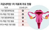 자궁내막암 면역항암제 병용요법, 새로운 표준 확립[2026 여성암 리포트⑤]