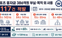 스포츠 융자금으로 호텔·학원 운영…117건·386억원 적발