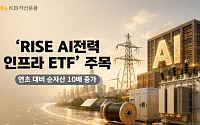 AI 발 전력 수요 급증…KB운용 'RISE AI전력인프라 ETF' 순자산 10배 '껑충'