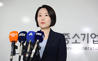 이소영 “3대 메가·7대 SEED에 中企 역할 구체화해야”