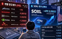 서학개미, 반도체株 팔고 ‘3배 ETF’ 샀다…이달 5800억 베팅