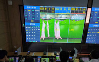 영천서 도축한 돼지, 창녕서 온라인경매…40두 첫 거래