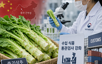 식약처, 중국산 줄기상추 긴급 검사…8건 모두 식용색소 ‘불검출’