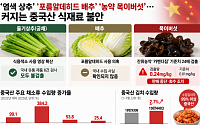 ‘염색 상추’부터 ‘농약 목이버섯’까지…中 식재료 불안 확산