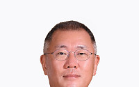 현대차그룹, 네팔·티베트 홍수 피해에 50만달러 구호성금 지원