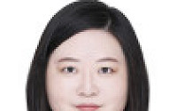 [노트북 너머] 위성정당 꼼수 방치는 그만