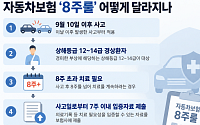 내일부터 자동차보험 ‘8주룰’…손해율 개선 기대 속 ‘풍선효과’ 변수