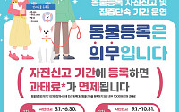 반려견 등록 미뤘다면 지금이 기회…최대 100만원 과태료 면제