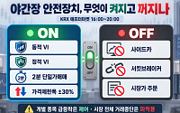 VI는 켜지고 사이드카는 꺼진다…야간장 안전장치 어떻게 [애프터마켓 개장]