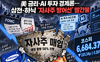 美 금리·AI 투자 경계론…삼전·하닉 ‘자사주 방어선’ 빨간불