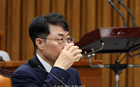김성수 대법관 임명안 국회 통과…李 재가 거쳐 6년 임기 시작
