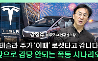“테슬라 주가 스위치는 사이버캡 실적”⋯수익화가 분수령 [찐코노미]