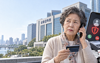 금감원, ‘본인 카드결제’ 피싱 차단 강화⋯70대 이상 심층상담