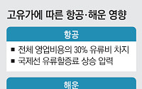 유가 100달러에 우회로까지 막혔다…커지는 항공·물류 ‘비용 청구서’ [호르무즈發 비용 쇼크]