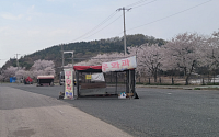 영암군, 불법 노점상·노상 적치물 집중단속