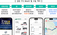 강릉 찾는 외국인, 철도·버스·택시 앱 하나로 이용한다