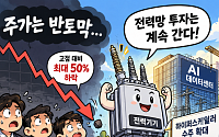 반토막 난 전력기기株…AI 속도조절론에도 수주는 ‘역주행’