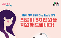 "고령 산모 진료비 걱정 덜었다"…서울시, 임산부 의료비 지원 96% 긍정 평가