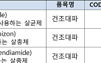 식약처, 건조대파 농약 잔류허용기준 국제기준 채택…라면 수출 비관세장벽 완화