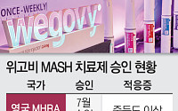 ‘위고비’로 지방간 치료를?…적응증 확장 시도 잰걸음