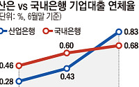 산은 도소매·부동산 부실 급증…연체 상승폭 은행권의 5배 [기업대출 부실 경고등]