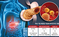 췌장암 미충족 수요 여전, 표적치료제 ‘게임체인저’ 나올까