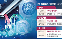코로나 백신 넘어 암·탈모까지…K바이오, ‘RNA 신약’ 개발 속도