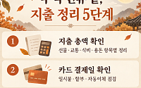 "카드값 보고 놀라지 말자"⋯추석 지출 정리ㆍ가계 관리 팁