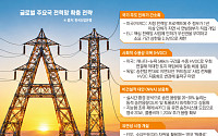 美, 加 잇는 546㎞ 수중 HVDC⋯EU, 인허가 3.5년내 단축 [AI 시대, 꽉 막힌 전력망]