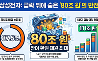 삼성전자 급락에도 든든…"환원 총알 80조원이 하방 버틴다"