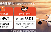 중동 불안에 다시 뜨는 항공화물⋯4분기 성수기 앞두고 운임 ‘들썩’