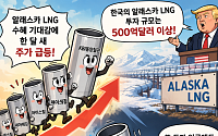 알래스카 LNG 기대 선반영했나…철강주 美 투자 언급에도 하락