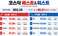 [베스트&워스트] 씨싸이트 75% 급등…‘SK하이닉스 수주 확대 기대’ 윈팩도 ↑