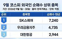 SK스퀘어·우리금융·대한항공…외국인이 쓸어 담은 3인방 공통점은?