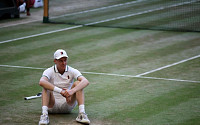 세계 1위 시너, 무릎 부상에 시즌 종료⋯ATP 파이널스도 불참