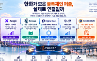 [한화의 꿈 ③] 한화가 모은 블록체인 퍼즐, 실제로 연결될까