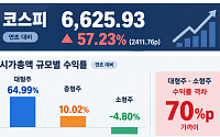 대형주 65% 뛰었는데 소형주는 5% 하락⋯덩치 따라 갈린 주가 [2026 증시 지형도]