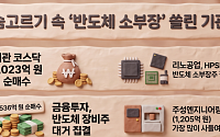 코스닥 반등 이끄는 기관⋯‘반도체 소부장’ 바구니에 담았다